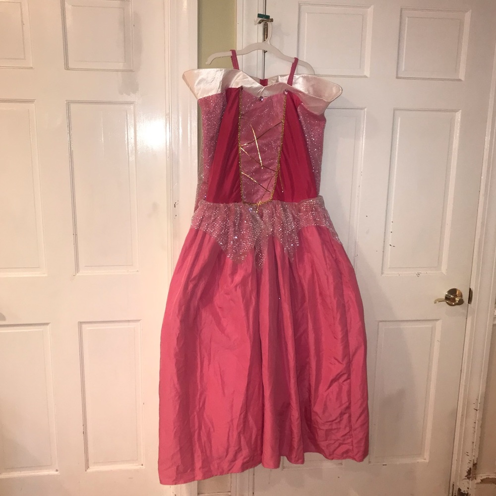 Disney Women Princess Aurora Costume